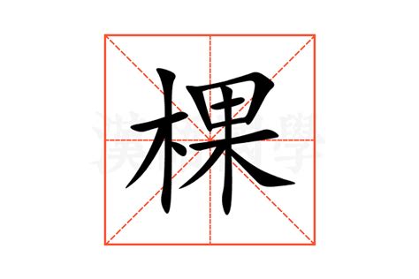 棵造詞|棵造詞，棵字的造詞